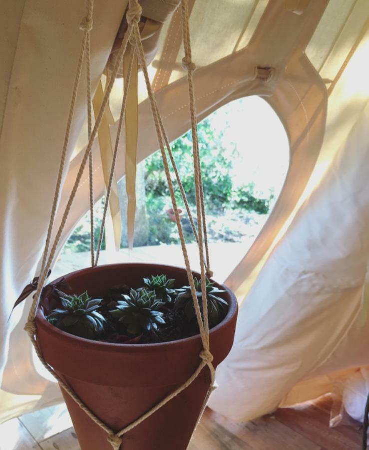 Tipi Lodge Dans La Foret Mimizan Luaran gambar