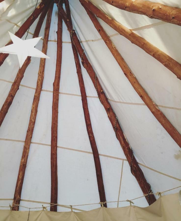 Tipi Lodge Dans La Foret Mimizan Luaran gambar