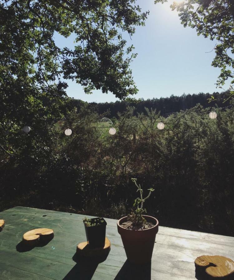 Tipi Lodge Dans La Foret Mimizan Luaran gambar
